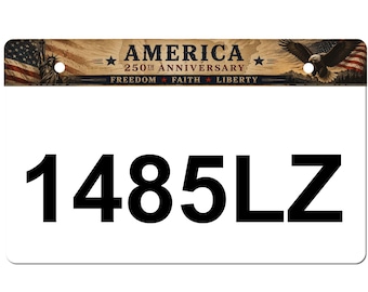 America 250th Anniversary Wisconsin ATV/UTV License Plate side-by-side license plate personalized plate, Metal ATV Plate, license plate,