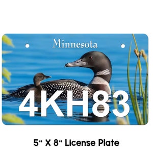 Könnte beinhalten: Ein blaues und weißes Minnesota-Kennzeichen mit der Nummer 4KH83. Die Kennzeichenplatte zeigt ein Foto eines Seetaucher-Paares, das in einem See schwimmt.