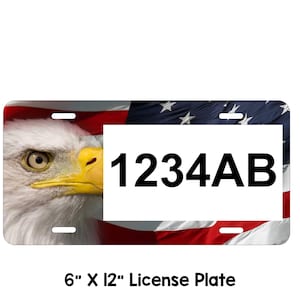 Wisconsin ATV/UTV Plate Metal Personalized atv Plate, Custom atv Plate, Wisconsin atv, Eagle/Flag License Plate,