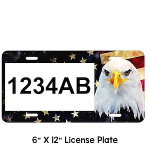 Wisconsin ATV/UTV Plate Retro Eagle Plate Metal Personalized atv Plate, Custom atv Plate, Wisconsin atv, Eagle/Flag License Plate,