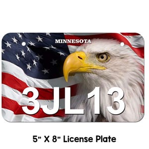 Minnesota ATV / UTV SxS Nummernschild personalisierte ATV Platte, Minnesota UTV Platte, amerikanische Flagge Adler ATV Platte, ATV Nummernschild