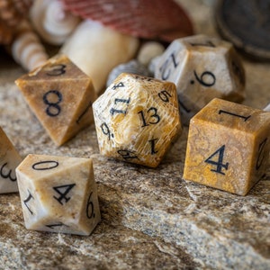 Fossilized Coral Stone Dice Set image 1