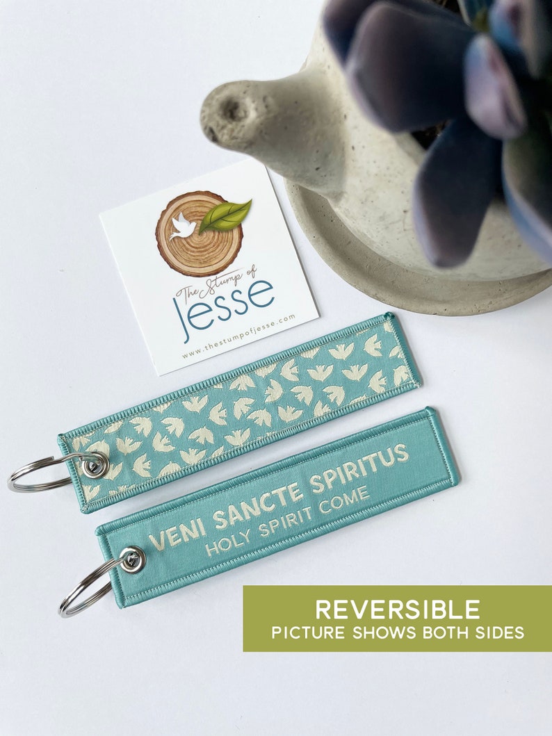 Puede incluir: Dos llaveros rectangulares de tela en azul claro con una anilla de metal plateado. Un lado presenta un patr&oacute;n repetitivo de peque&ntilde;os p&aacute;jaros blancos. El otro lado muestra el texto blanco "VENI SANCTE SPIRITUS" y "HOLY SPIRIT COME" en letra clara.