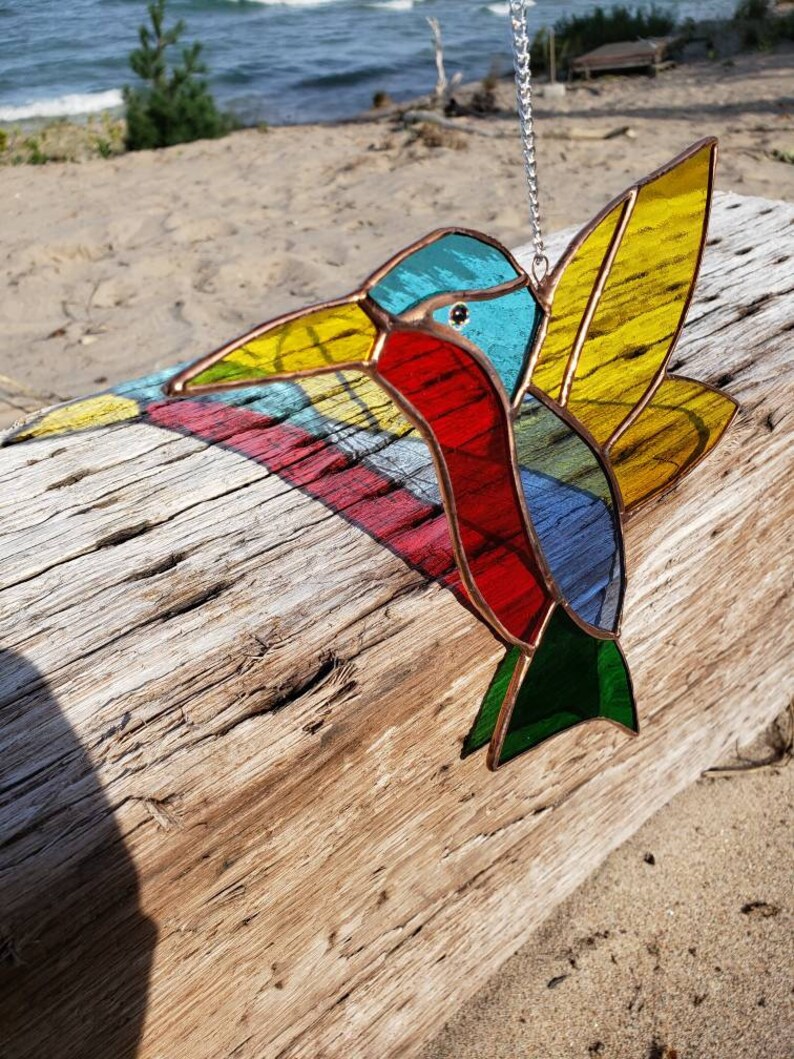 Hummingbird sunchatcher 8x8