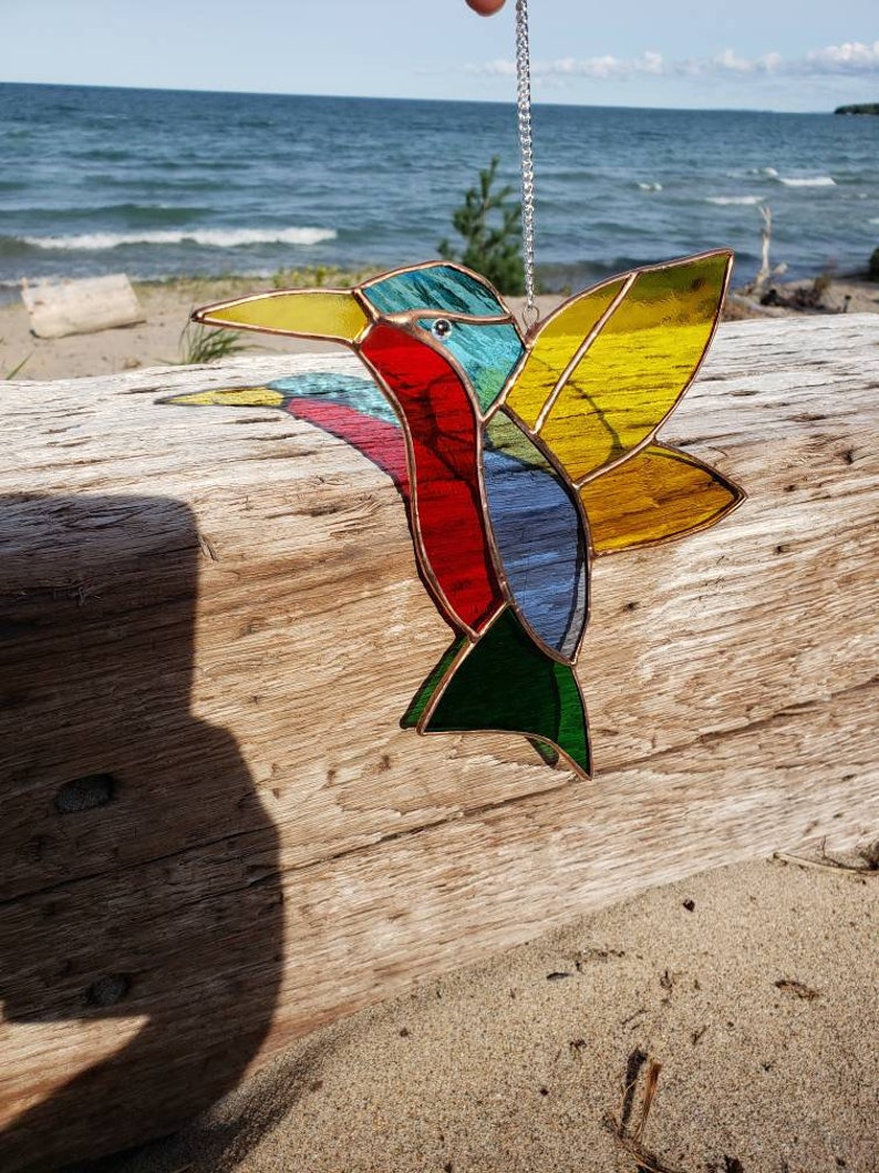 Hummingbird sunchatcher 8x8