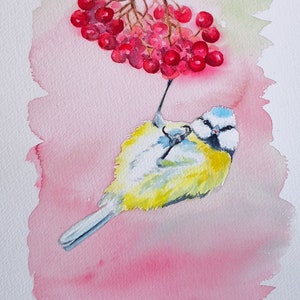 Aquarelle authentique de mésange bleue , peinture oiseau et baies rouges, art original, illustration oiseau des jardins, peinture oiseau image 1