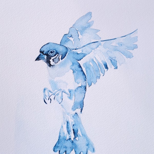 Peinture de moineau en vol ,Aquarelle authentique oiseau bleu, art original, illustration oiseau des jardins