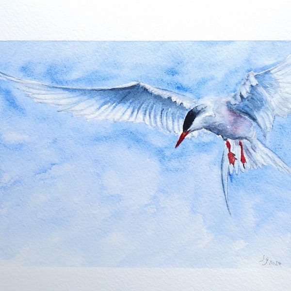Aquarelle authentique de mouette en vol , peinture  d’une Sterne , art original, illustration oiseau, peinture oiseau marin