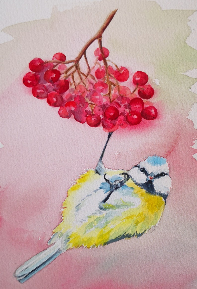 Aquarelle authentique de mésange bleue , peinture oiseau et baies rouges, art original, illustration oiseau des jardins, peinture oiseau image 4