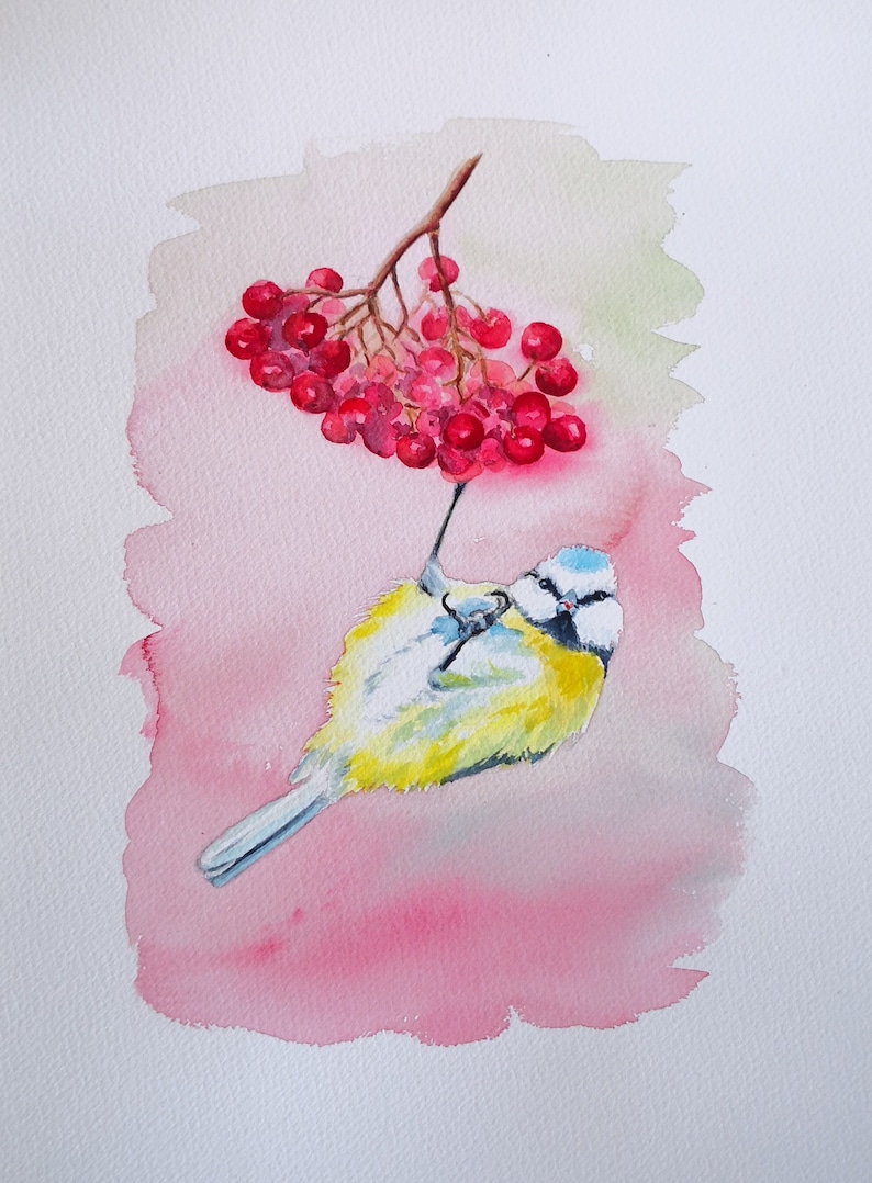 Aquarelle authentique de mésange bleue , peinture oiseau et baies rouges, art original, illustration oiseau des jardins, peinture oiseau image 1