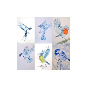 Aquarelle authentique de mésange bleue , peinture oiseau et baies rouges, art original, illustration oiseau des jardins, peinture oiseau image 5