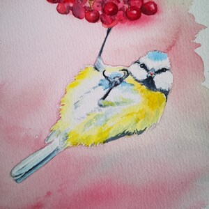 Aquarelle authentique de mésange bleue , peinture oiseau et baies rouges, art original, illustration oiseau des jardins, peinture oiseau image 3