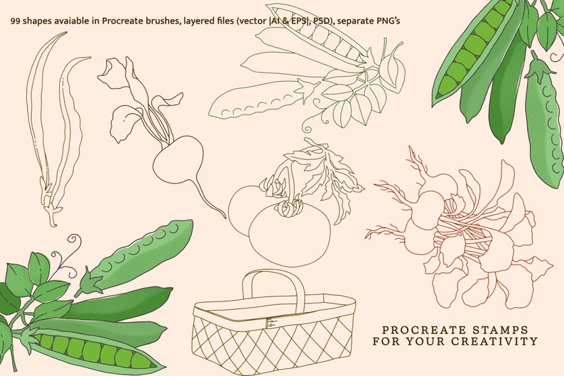 Fruit & Veggies, Procreate Brushes Procreate, Garden Brush Kit Fruit ...