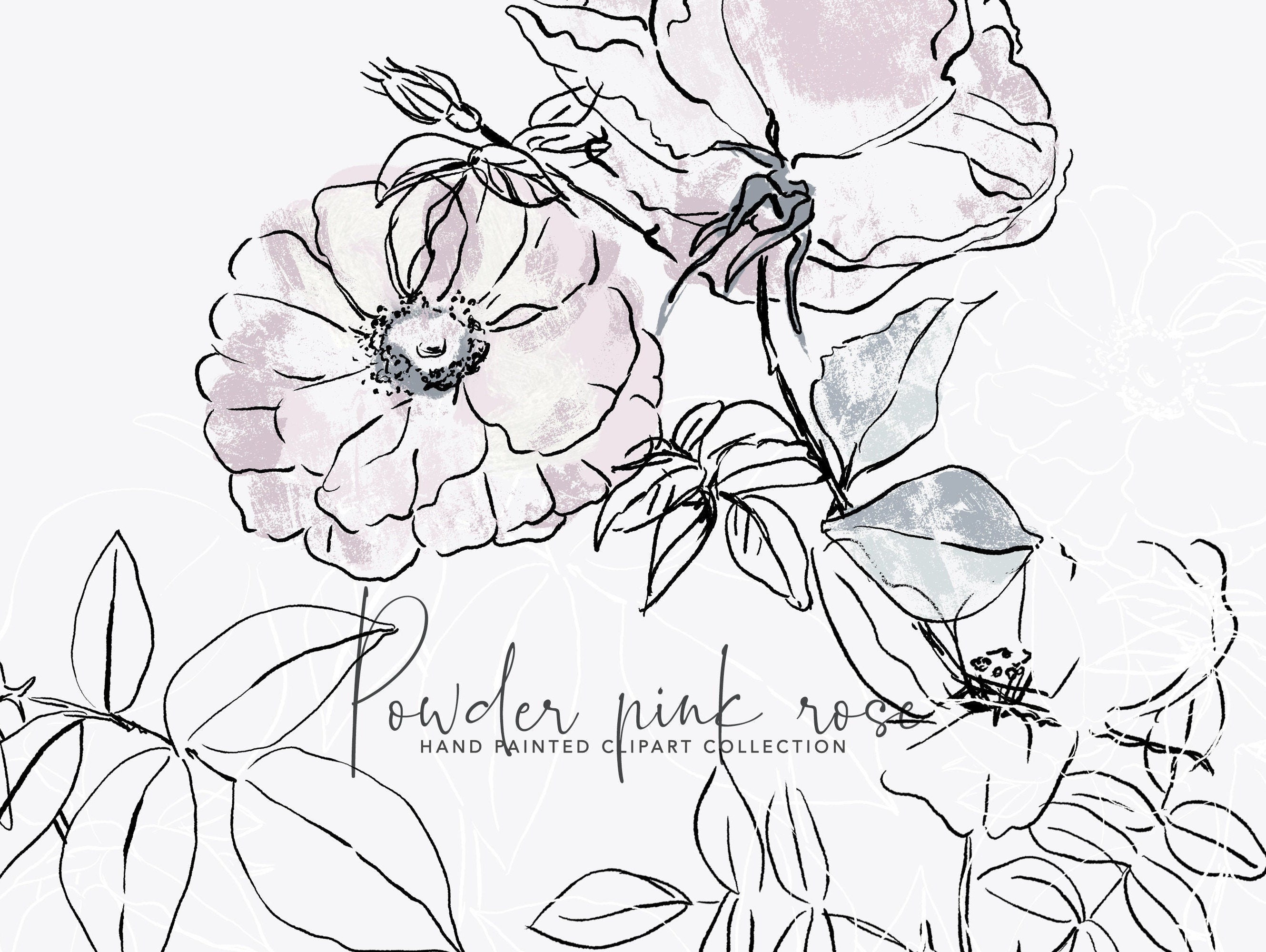 Rose Powder Drawing Powder Pink Rose, Hand-drawn Rose Clipart, Hand Painted Abstract Rose ...