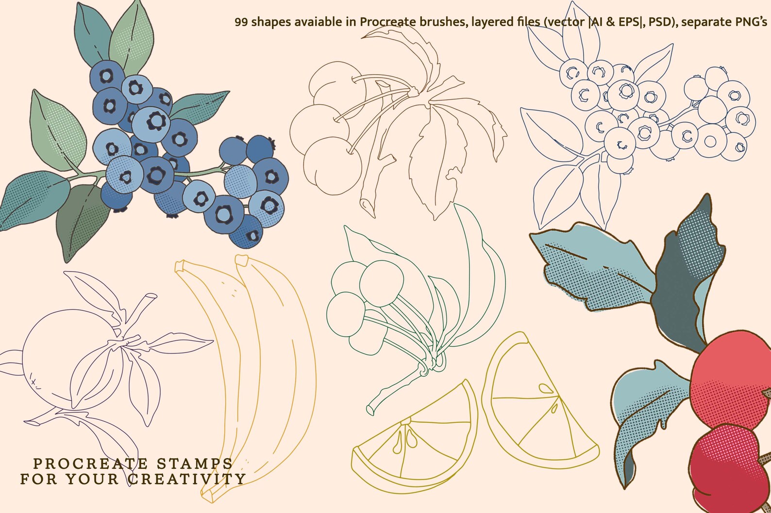 Fruit & Veggies, Procreate Brushes Procreate, Garden Brush Kit Fruit ...
