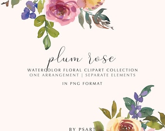 Watercolor Floral Clipart, Bouquet and Separate Elements, Floral Clipart Wedding Stationery, Logos Baby Room Decor, Wedding, Invitations png