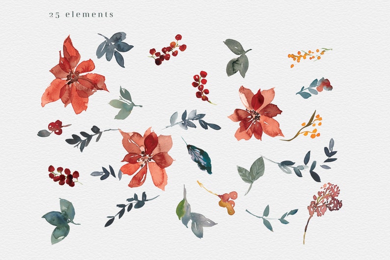 Red Poinsettia* Watercolor Floral Clipart Poinsettia Christmas Clipart PNG Floral Clipart Seamless Pattern Elements and Arrangements #O15