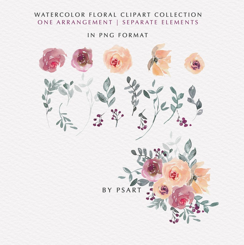 Melissa* Peach /& Mauve Watercolor Floral Clipart Peach Rose Peony Flowers PNG Floral Clipart Wedding Stationery Logos Nursery Decor #O1