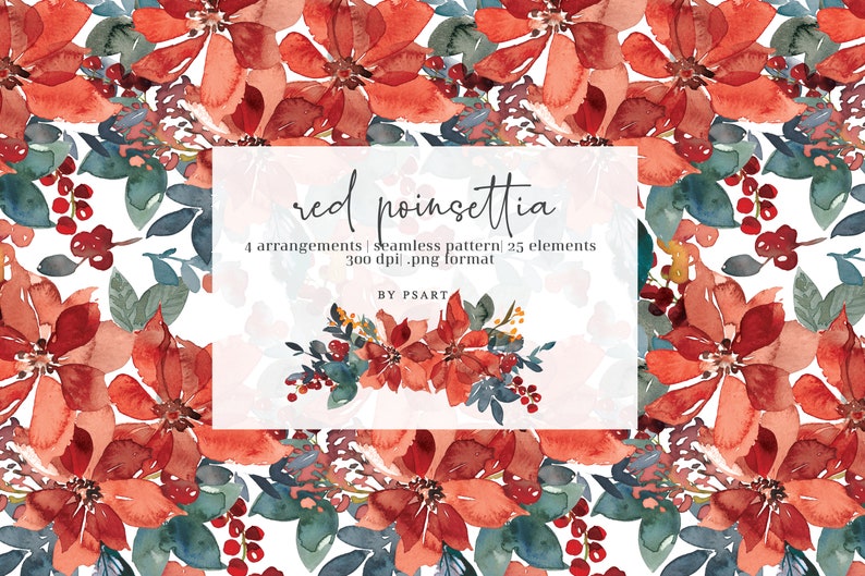Red Poinsettia* Watercolor Floral Clipart Poinsettia Christmas Clipart PNG Floral Clipart Seamless Pattern Elements and Arrangements #O15