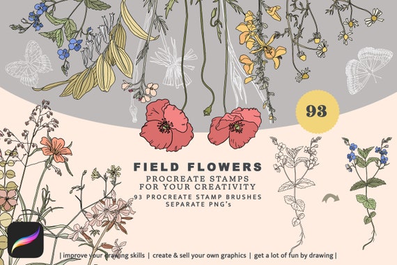 Field Flowers, Procreate Brushes Procreate, Wildflower Stamp, Herbs Stamp, Botanical Stamp, Meadow Flowers Stamps, Butterflies Brushes Png