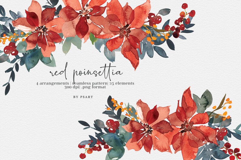 Red Poinsettia* Watercolor Floral Clipart Poinsettia Christmas Clipart PNG Floral Clipart Seamless Pattern Elements and Arrangements #O15