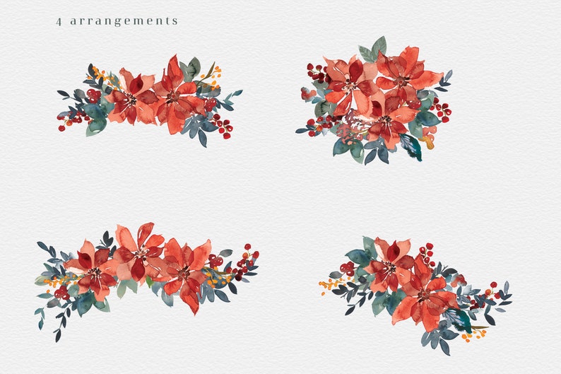 Red Poinsettia* Watercolor Floral Clipart Poinsettia Christmas Clipart PNG Floral Clipart Seamless Pattern Elements and Arrangements #O15