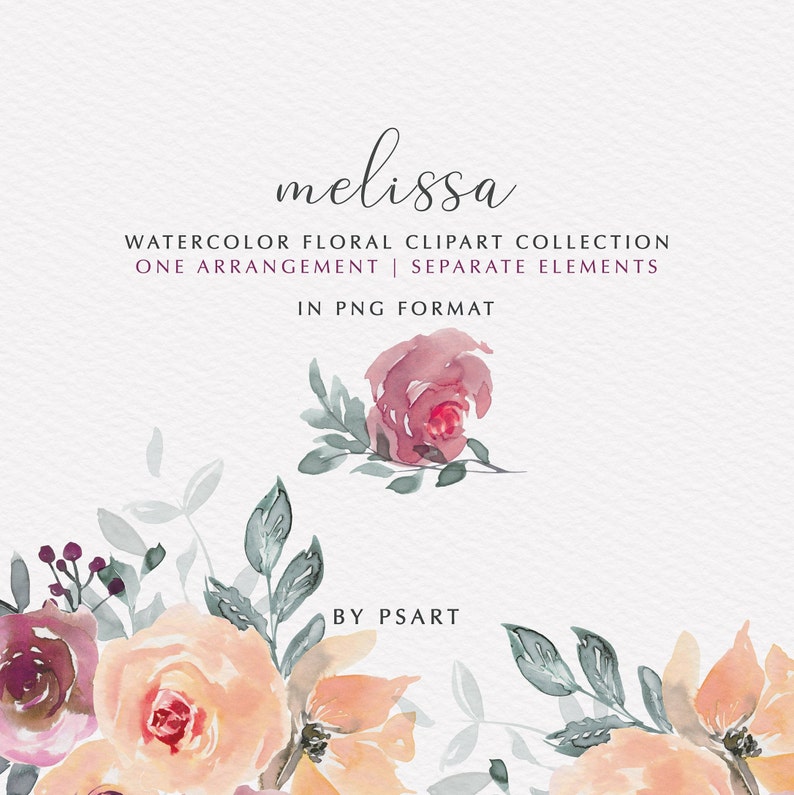 Melissa* Peach /& Mauve Watercolor Floral Clipart Peach Rose Peony Flowers PNG Floral Clipart Wedding Stationery Logos Nursery Decor #O1