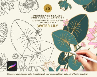 Lilia Wodna, Pędzle Procreate, Pieczątka Lilia Wodna, Pieczątka Kwiatowa, Pieczątka Botaniczna, Pieczątki Nenuphar, Pędzle Kwiatowe Png, Pieczątka Liniowa
