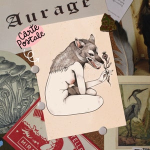 CARTE POSTALE • "Louve"
