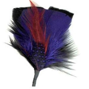 Feathers for Hats & Fedoras