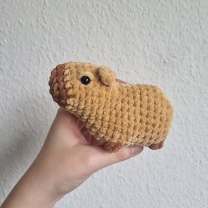 Mini Capybara (WITHOUT MANDARIN)