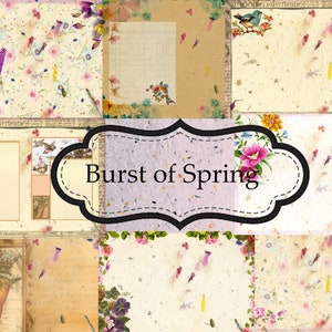 Burst von Frühling Junk Journalscrapbook digitales Papier