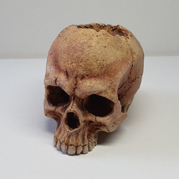 Skull tealight holder, Bone effect Gothic tealight holder, Home Decor. horror fun prop