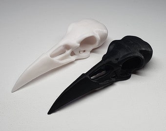 Raven Skull Black and White, 3D printed fridge magnet or home gothic decor ornament. Buy both to save money.