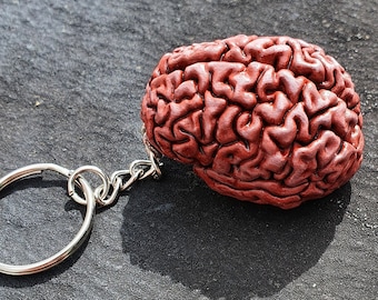 Human brain keychain, Brain keyring.