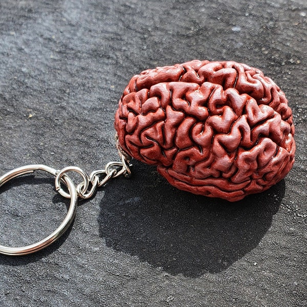 Human brain keychain, Brain keyring.