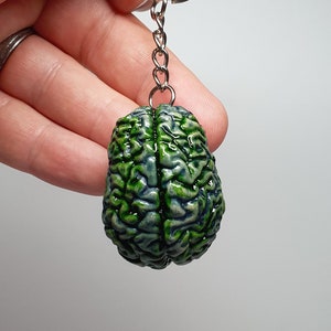 Zombie brain keychain, Brain keyring. Gross brain gift Oddities Curiosities