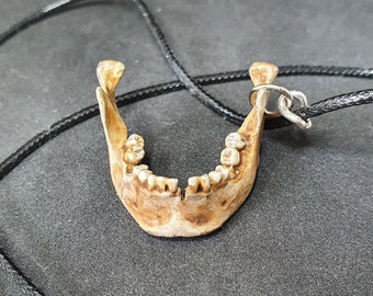 Human Jawbone Necklace pendant Bone Jewelry Necklace  Gothic Jewelry  Gift, Bone Necklace Bone Jewelry Oddities Curiosities