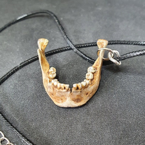 Human Jawbone Necklace pendant Bone Jewelry Necklace  Gothic Jewelry  Gift, Bone Necklace Bone Jewelry Oddities Curiosities