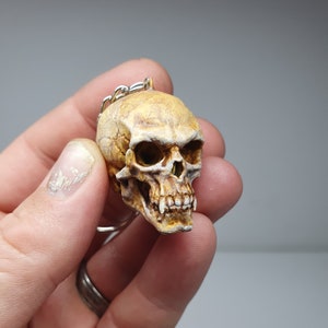 Vampire Skull Keyring/Keychain Resin Dracula sculpture