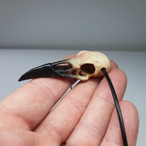 Gothic Raven Skull Necklace - Hand painted Miniature Horror Gift - Faux Bone Jewelry for Oddities Collectors