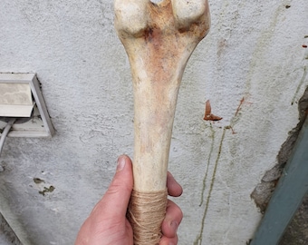 Menselijk half dijbeen, levensgroot hangend beeldhouwwerk. Perfect Halloween-decor. PLA-hars Bone Gothic Cadeau Rariteitenkabinet Curiosa club