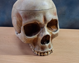 Realistic Human Skull Trinket Box  Hand Painted 3D Printed Gothic Skull Storage Horror Decor  Macabre Jewellery Box Oddity Gift