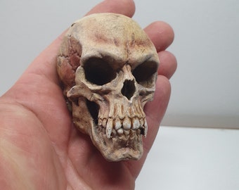 May include: A detailed, miniature skull with a weathered, bone-like appearance. The skull features visible teeth and eye sockets, with a textured surface. The color palette includes shades of beige and brown, creating a realistic effect. This item is likely a decorative piece or a prop.