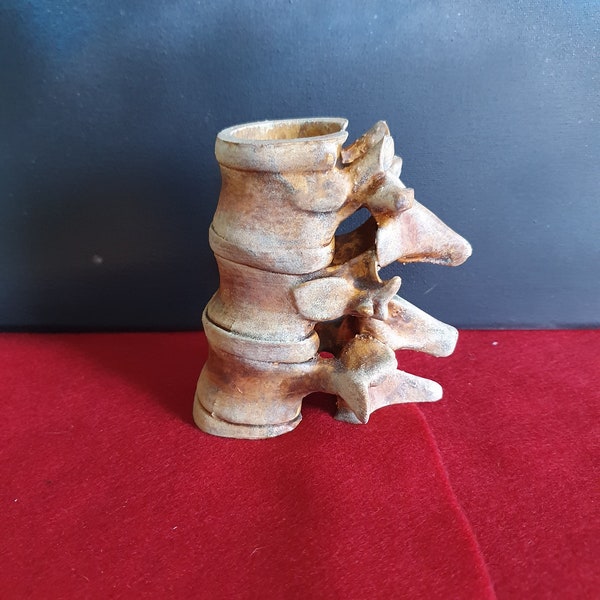 Broken Spine Tealight Holder. spine sculpture. Gothic decor. Bone decoration Horror prop