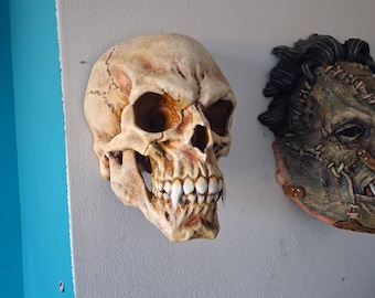 Vampire skull wall sculpture. Dracula gothic home decor. Realistic horror prop. Hand painted bone. Spooky Gothic Gift Oddities Curiosities