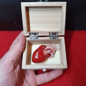 Heart in a Box - Unique Gift for Valentines Day or Any Celebration