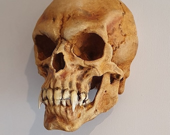 Vampire skull wall sculpture. Dracula gothic home decor. Realistic horror prop. Hand painted bone. Spooky Gothic Gift Oddities Curiosities