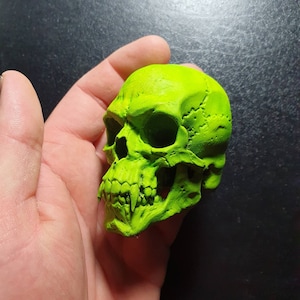 Vampire Skull painted vibrant glowing green. Horror resin Dracula magnet