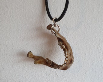 Human Jawbone Necklace Pendant Bone Jewelry Necklace Gothic